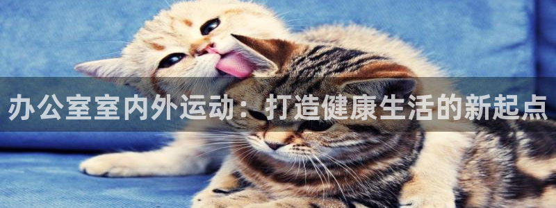 注册世界杯:办公室室内外运动:打造健康生活的新起点